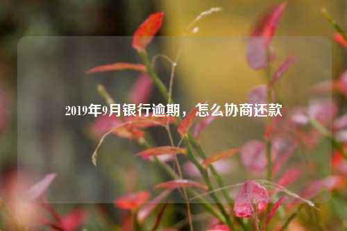 2019年9月银行逾期，怎么协商还款