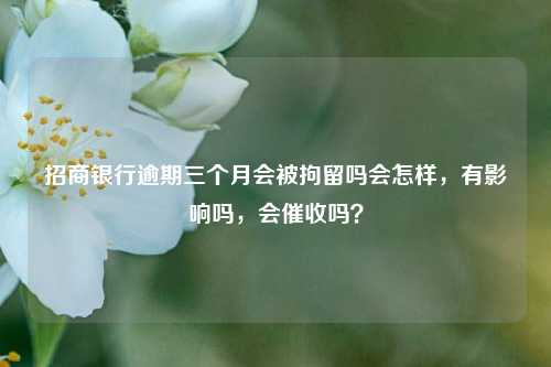 招商银行逾期三个月会被拘留吗会怎样，有影响吗，会催收吗？