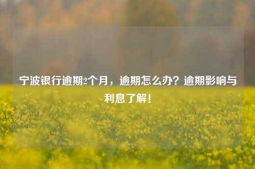 宁波银行逾期2个月，逾期怎么办？逾期影响与利息了解！