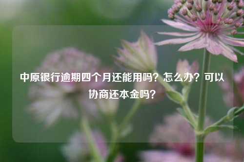 中原银行逾期四个月还能用吗？怎么办？可以协商还本金吗？