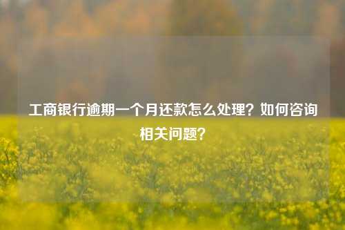 工商银行逾期一个月还款怎么处理？如何咨询相关问题？