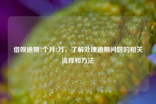 借呗逾期7个月2万，了解处理逾期问题的相关流程和方法