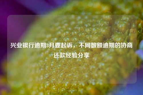 兴业银行逾期3月要起诉，不同数额逾期的协商还款经验分享