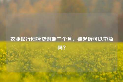 农业银行网捷贷逾期三个月，被起诉可以协商吗？