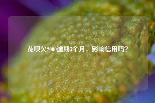 花呗欠2000逾期5个月，影响信用吗？