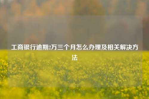 工商银行逾期2万三个月怎么办理及相关解决方法