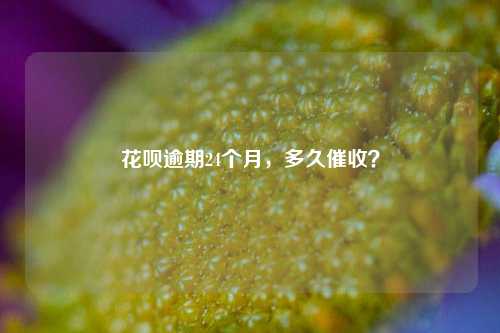 花呗逾期24个月，多久催收？