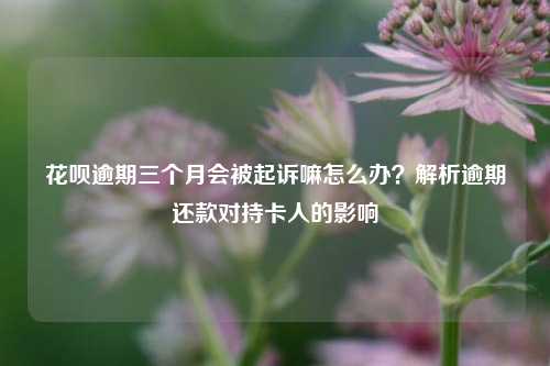 花呗逾期三个月会被起诉嘛怎么办？解析逾期还款对持卡人的影响