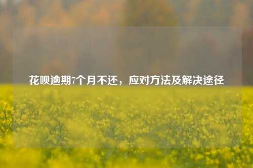 花呗逾期7个月不还，应对方法及解决途径