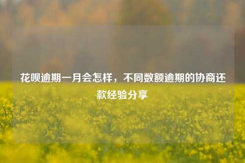 花呗逾期一月会怎样，不同数额逾期的协商还款经验分享