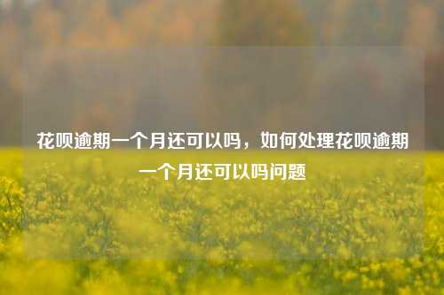 花呗逾期一个月还可以吗，如何处理花呗逾期一个月还可以吗问题