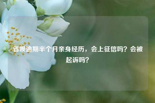 省呗逾期半个月亲身经历，会上征信吗？会被起诉吗？