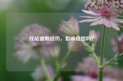 钱站逾期经历，影响征信吗？