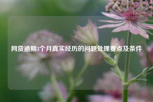 网贷逾期3个月真实经历的问题处理要点及条件