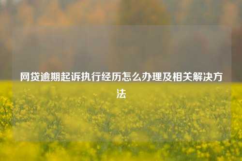 网贷逾期起诉执行经历怎么办理及相关解决方法