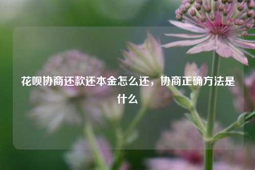 花呗协商还款还本金怎么还，协商正确方法是什么