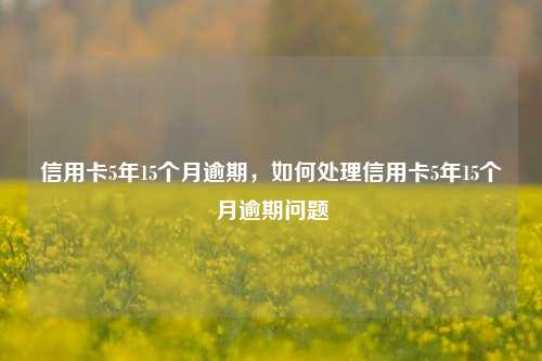 信用卡5年15个月逾期，如何处理信用卡5年15个月逾期问题