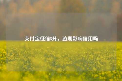 支付宝征信5分，逾期影响信用吗