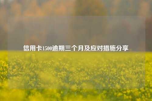 信用卡1500逾期三个月及应对措施分享