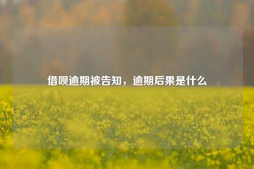 借呗逾期被告知，逾期后果是什么