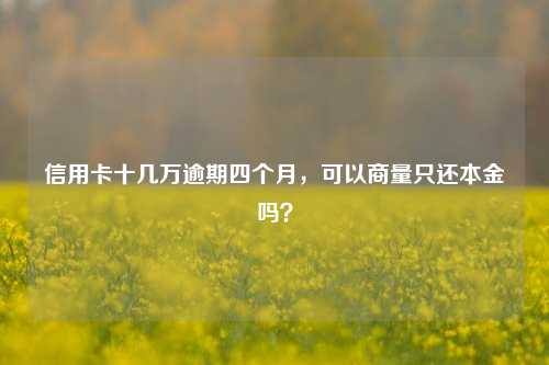 信用卡十几万逾期四个月，可以商量只还本金吗？