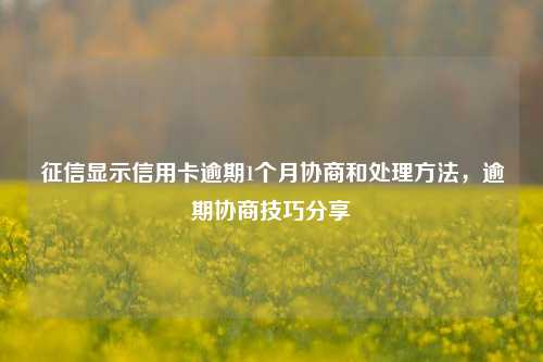 征信显示信用卡逾期1个月协商和处理方法，逾期协商技巧分享