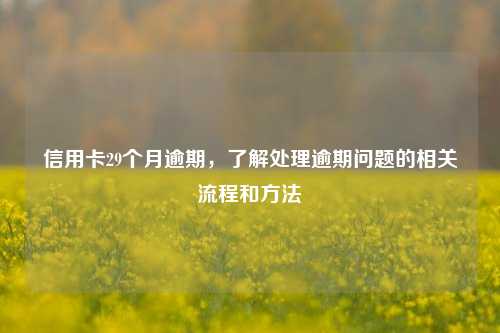 信用卡29个月逾期，了解处理逾期问题的相关流程和方法