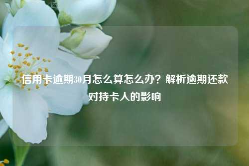 信用卡逾期30月怎么算怎么办？解析逾期还款对持卡人的影响