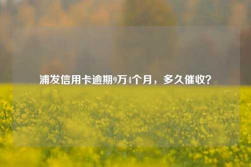 浦发信用卡逾期9万4个月，多久催收？