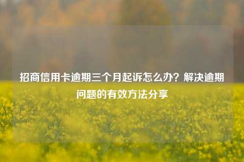 招商信用卡逾期三个月起诉怎么办？解决逾期问题的有效方法分享