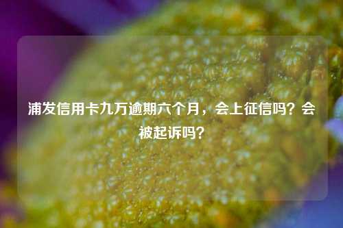 浦发信用卡九万逾期六个月，会上征信吗？会被起诉吗？