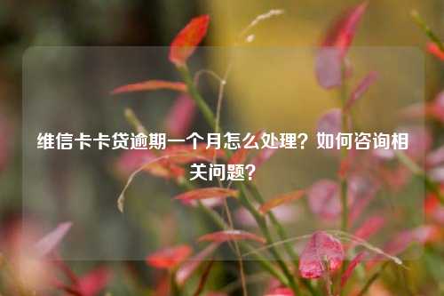 维信卡卡贷逾期一个月怎么处理？如何咨询相关问题？