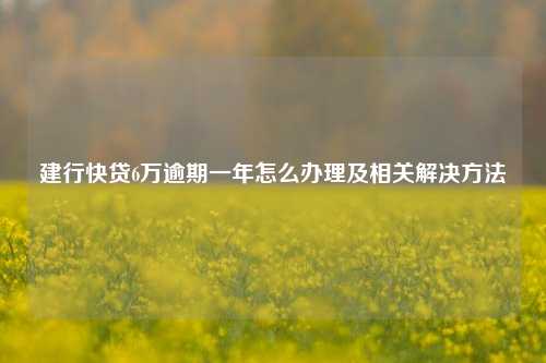 建行快贷6万逾期一年怎么办理及相关解决方法