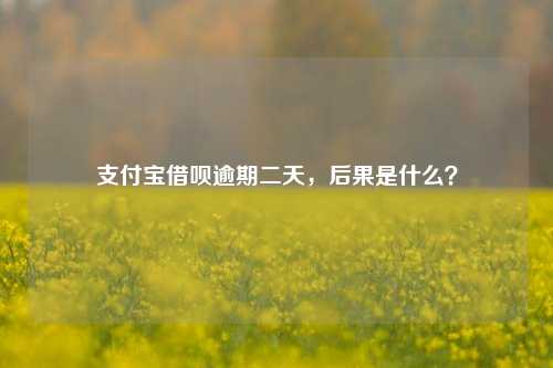 支付宝借呗逾期二天，后果是什么？