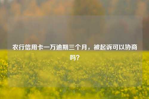 农行信用卡一万逾期三个月，被起诉可以协商吗？