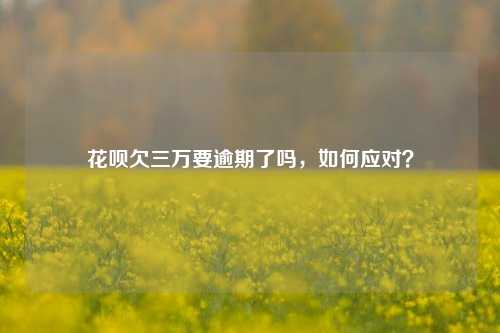 花呗欠三万要逾期了吗，如何应对？