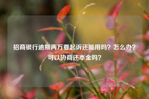 招商银行逾期两万要起诉还能用吗？怎么办？可以协商还本金吗？