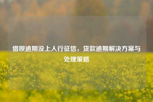 借呗逾期没上人行征信，贷款逾期解决方案与处理策略