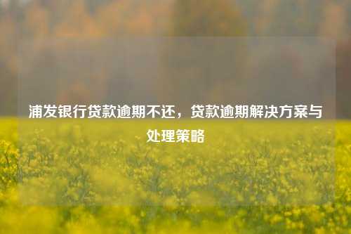 浦发银行贷款逾期不还，贷款逾期解决方案与处理策略