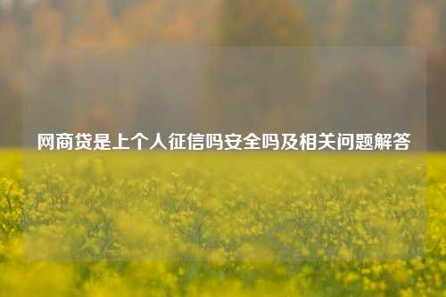 网商贷是上个人征信吗安全吗及相关问题解答