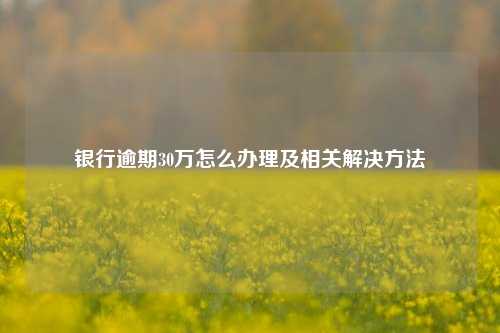 银行逾期30万怎么办理及相关解决方法