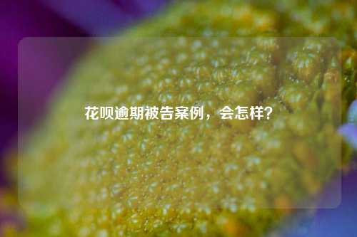 花呗逾期被告案例，会怎样？