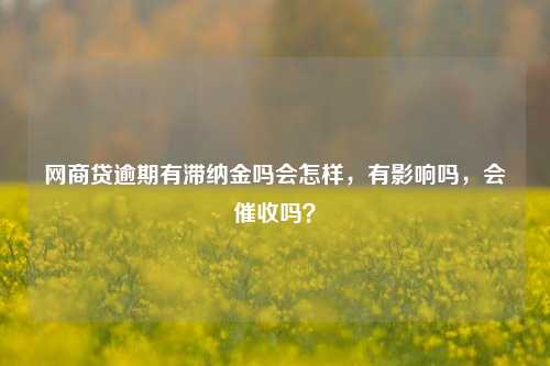 网商贷逾期有滞纳金吗会怎样，有影响吗，会催收吗？