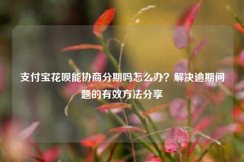 支付宝花呗能协商分期吗怎么办？解决逾期问题的有效方法分享