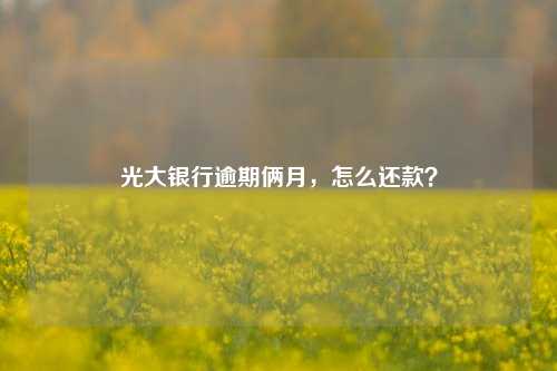 光大银行逾期俩月，怎么还款？