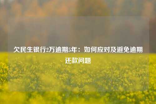 欠民生银行2万逾期5年：如何应对及避免逾期还款问题