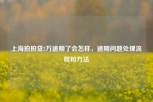 上海拍拍贷2万逾期了会怎样，逾期问题处理流程和方法