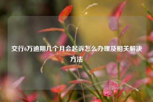 交行6万逾期几个月会起诉怎么办理及相关解决方法