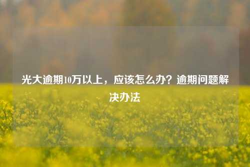 光大逾期10万以上，应该怎么办？逾期问题解决办法