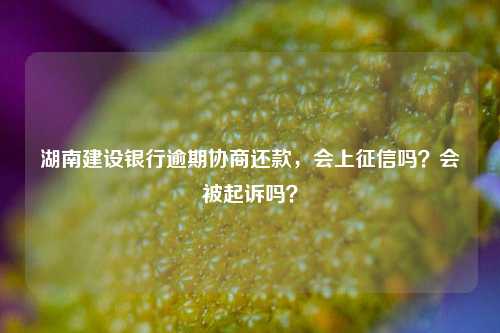 湖南建设银行逾期协商还款，会上征信吗？会被起诉吗？